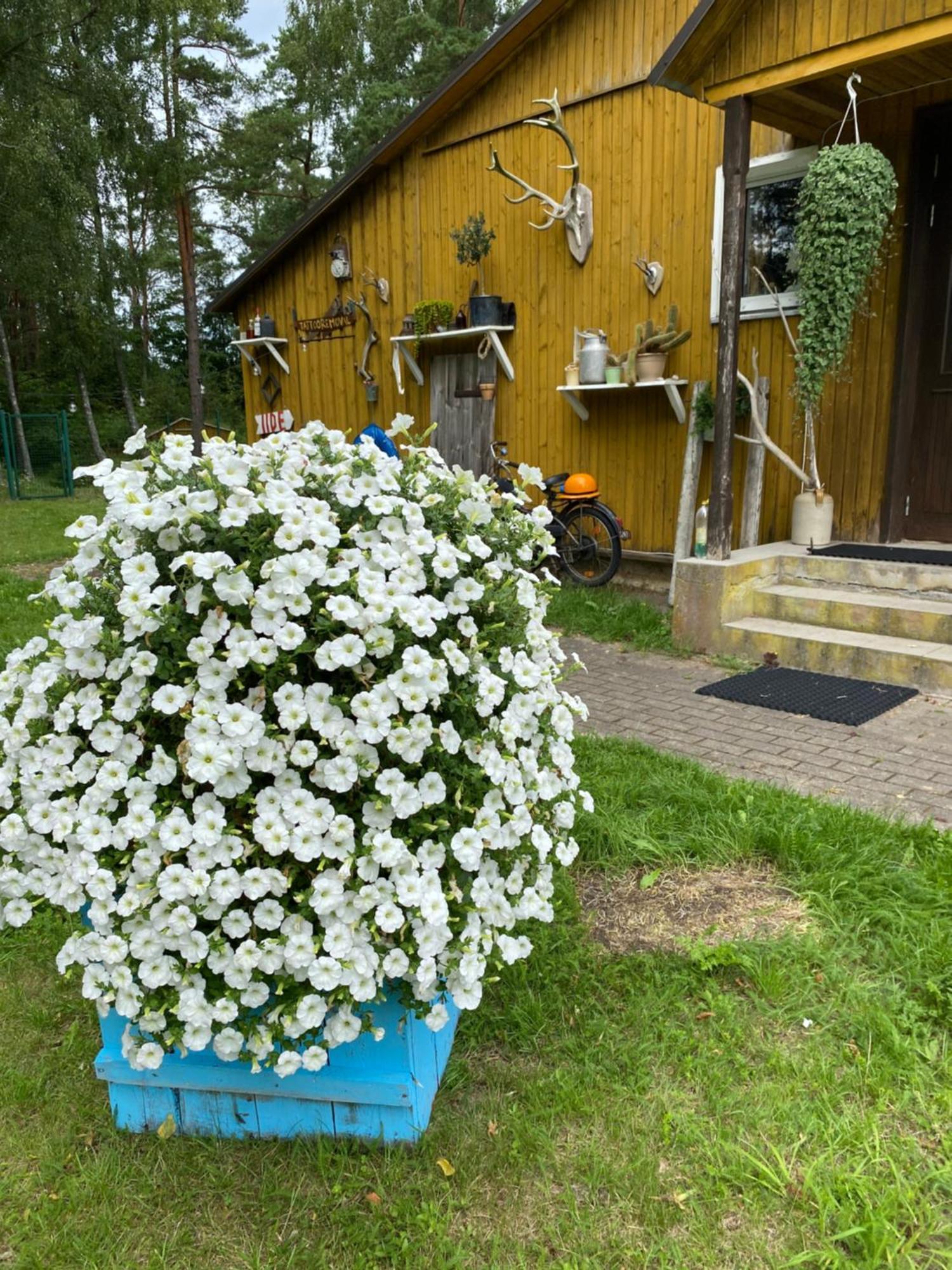 Torgu Royal Guesthouse Iide Bagian luar foto